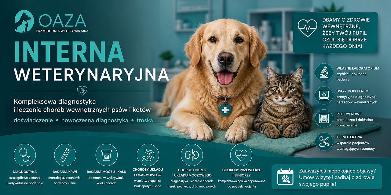 Interna weterynaryjna Łódź Interna weterynaryjna Łódź